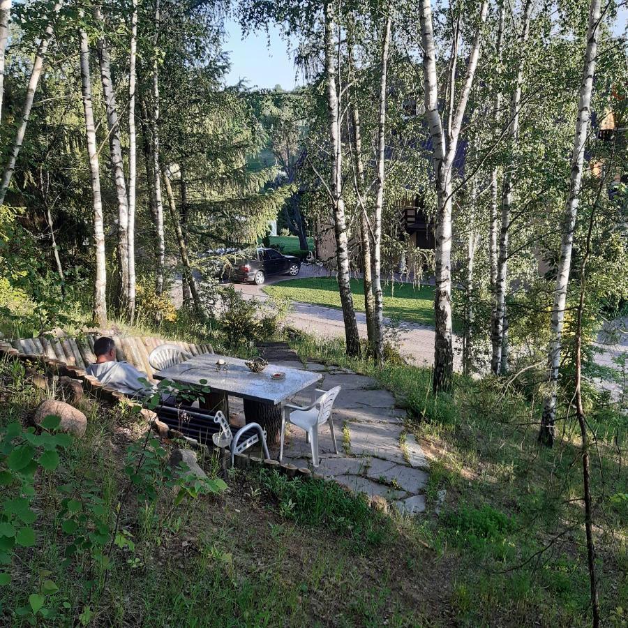 Agroturystyka Brzozowe Wzgorze Wlen Exteriér fotografie