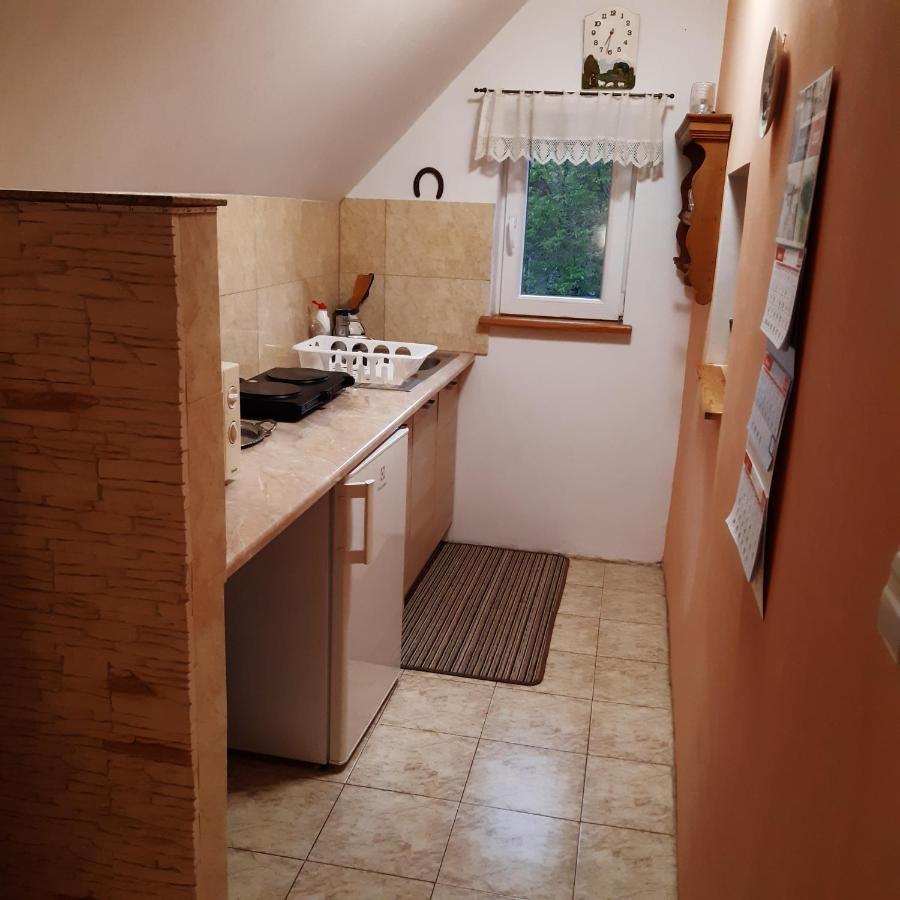 Agroturystyka Brzozowe Wzgorze Wlen Exteriér fotografie
